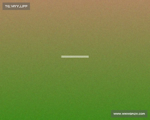 赖因德斯转会协议包含夺冠与金球奖浮动奖金条款